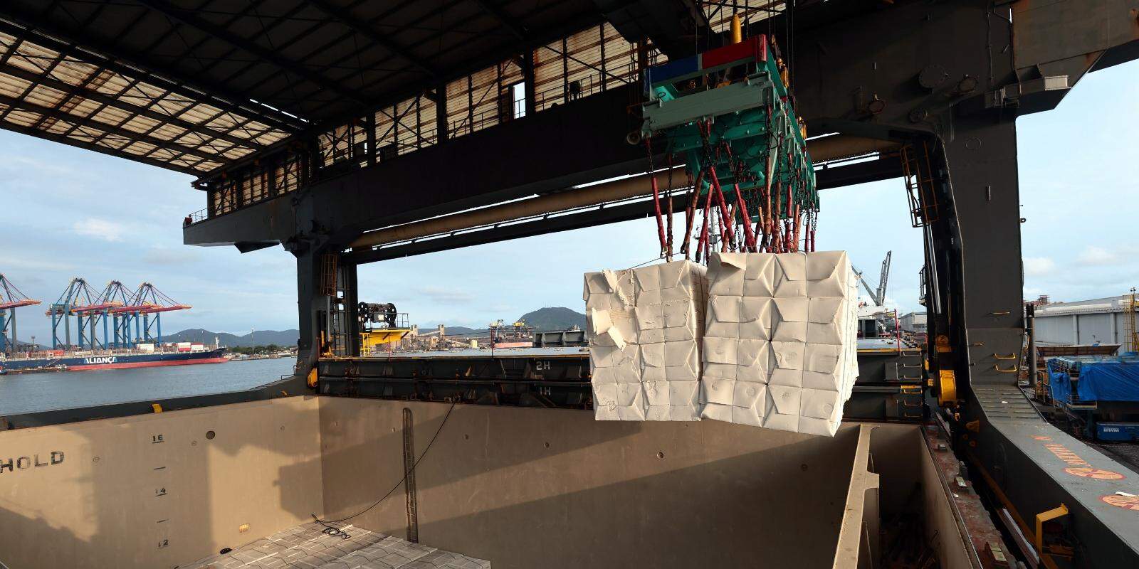 Terminal da Eldorado no cais santista está completando três anos de operações