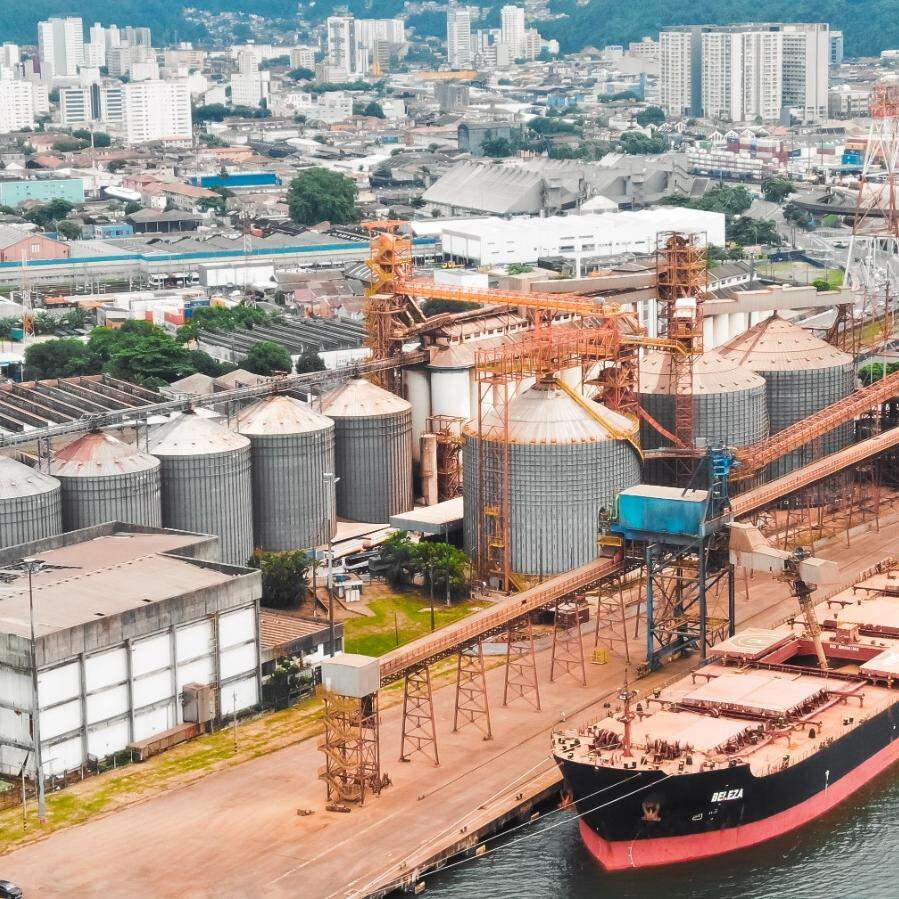 Maiores navios graneleiros que atracam no cais são de 80 mil toneladas, diz a Autoridade Portuária