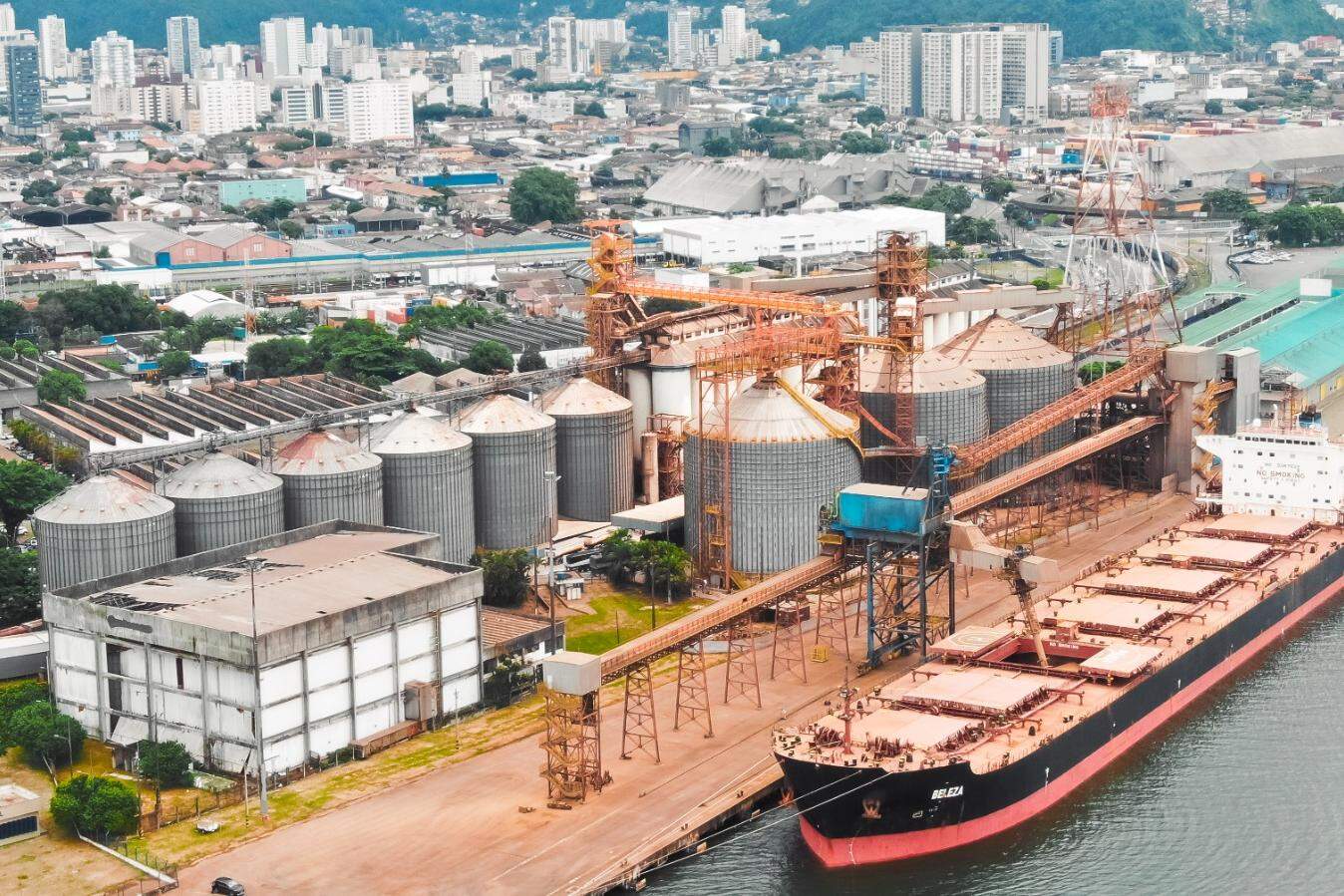 Maiores navios graneleiros que atracam no cais são de 80 mil toneladas, diz a Autoridade Portuária