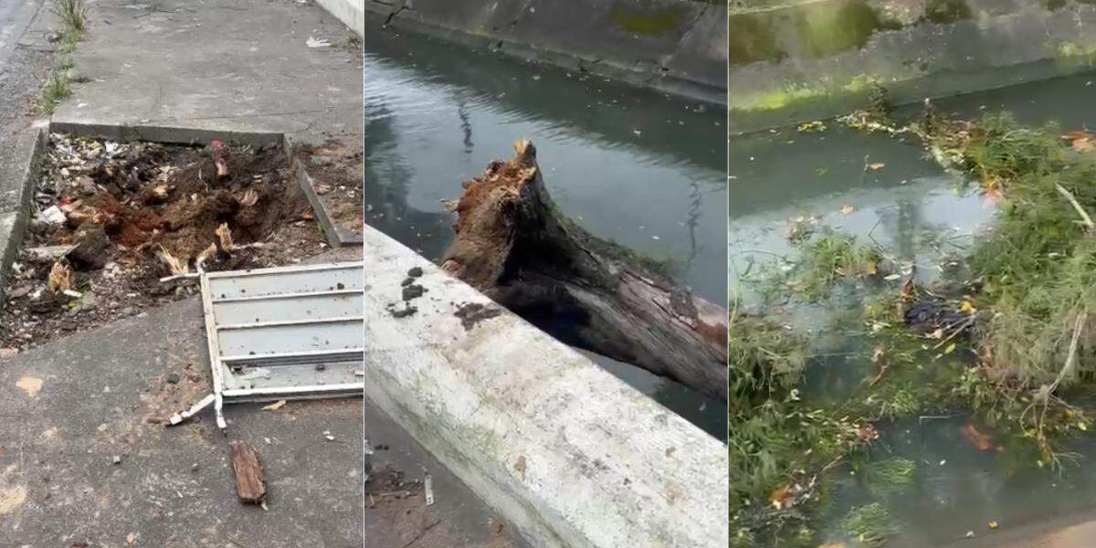 Queda de árvore no Canal 5, em Santos, causou morte de homem na tarde desta quarta-feira (29)
