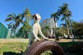 No Parque Roberto Mário Santini, no José Menino, avaliação dos frequentadores é positiva, com ressalvas