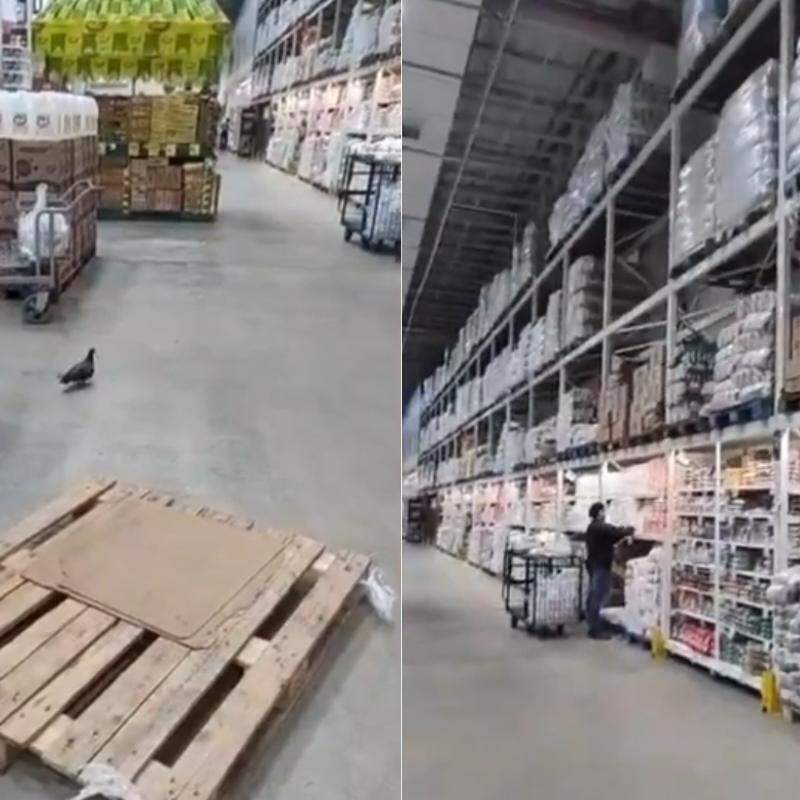Situação foi filmada por cliente