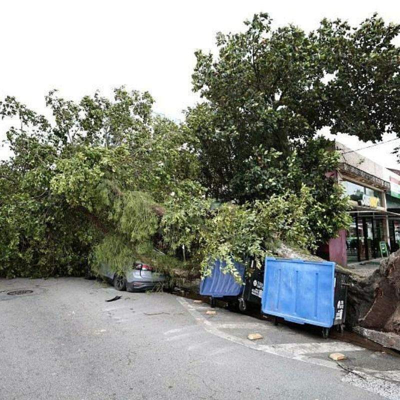 Defesa Civil e Inmet emitem alertas para vendaval semelhante ao que atingiu a Baixada Santista na última semana; há riscos de quedas de árvores e destelhamentos