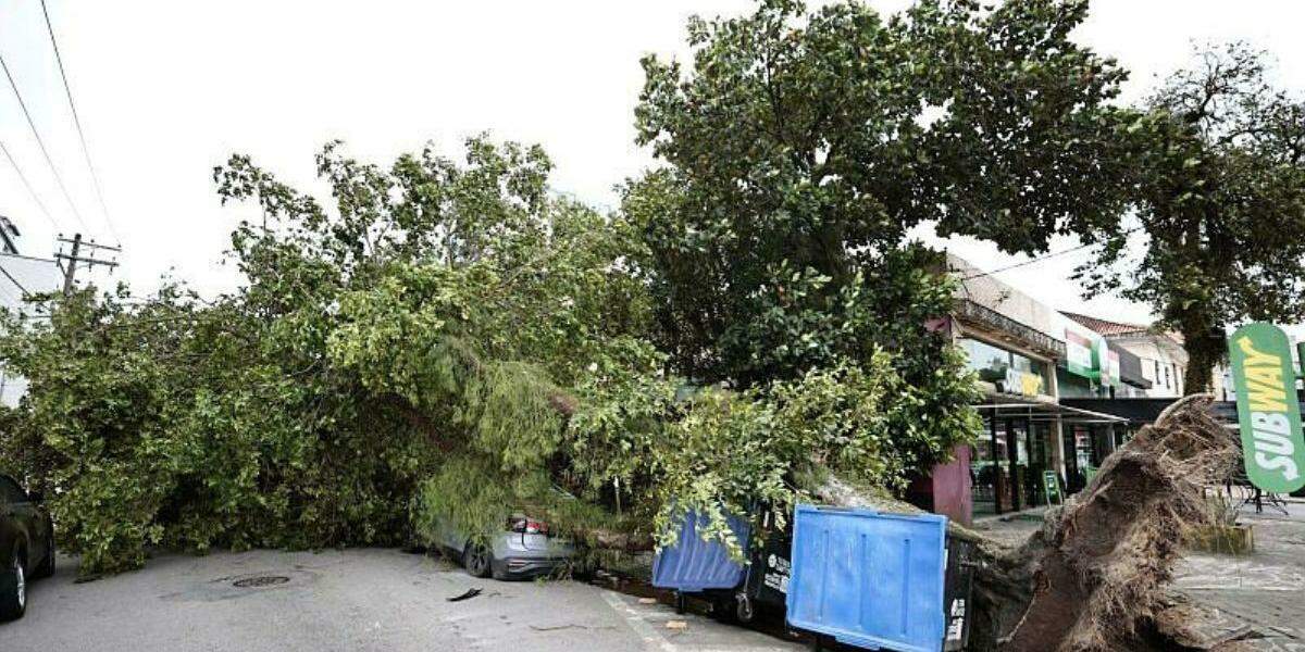 Defesa Civil e Inmet emitem alertas para vendaval semelhante ao que atingiu a Baixada Santista na última semana; há riscos de quedas de árvores e destelhamentos