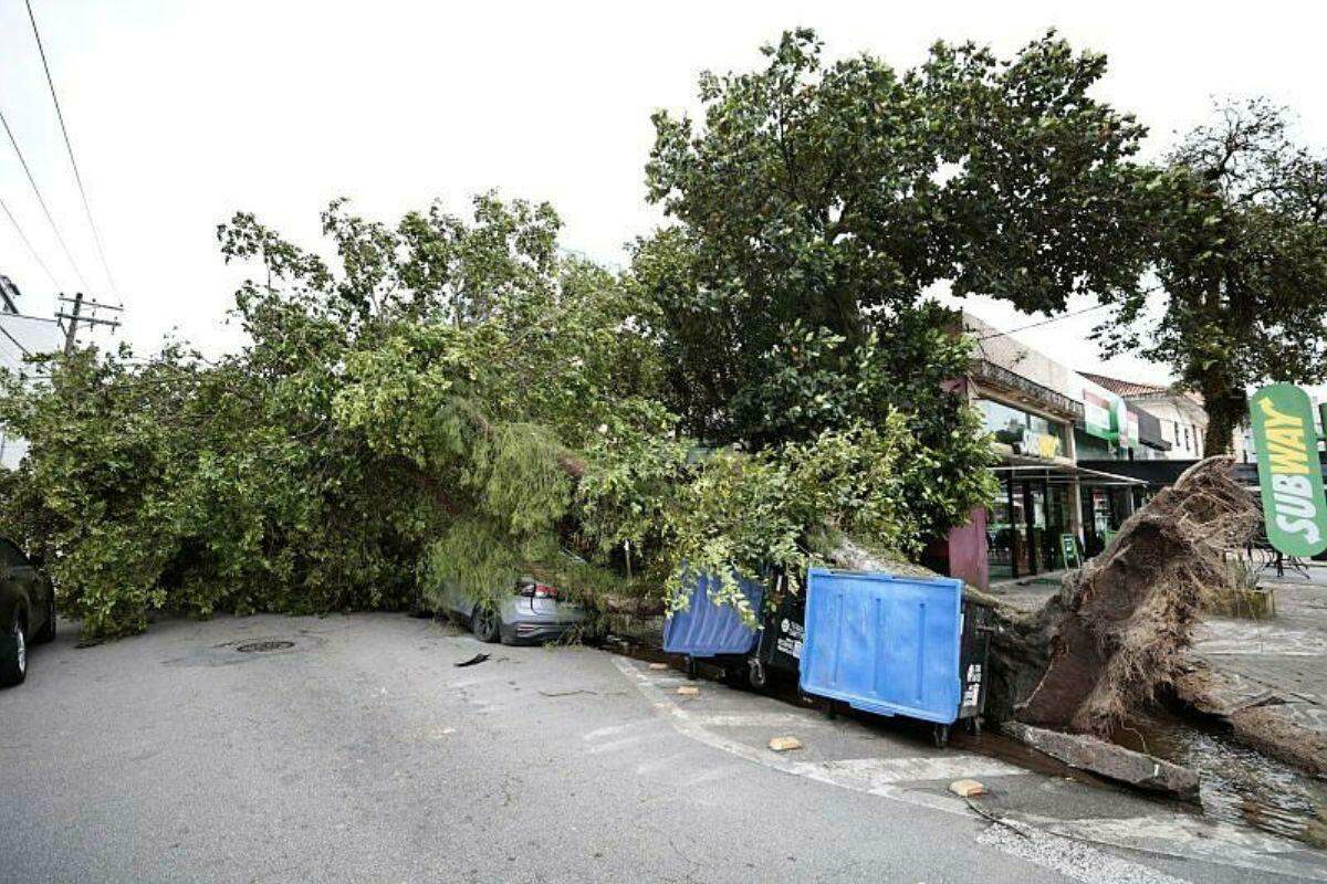 Defesa Civil e Inmet emitem alertas para vendaval semelhante ao que atingiu a Baixada Santista na última semana; há riscos de quedas de árvores e destelhamentos