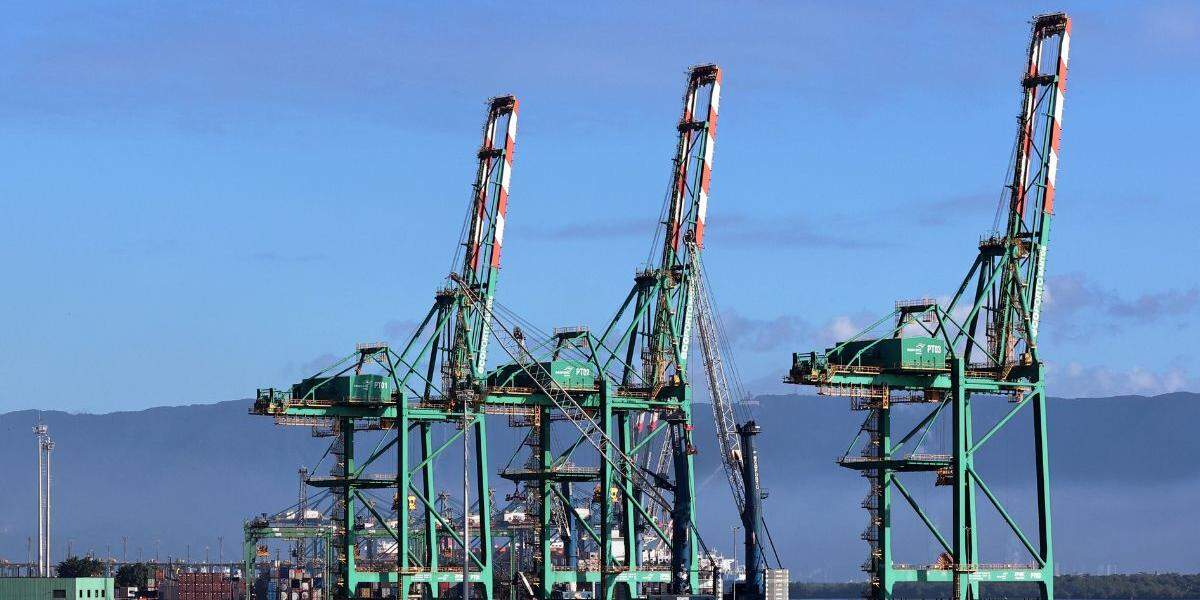 Leilão do Tecon Santos 10 prevê proibição de armadores e de empresas que já possuem ativos no Porto