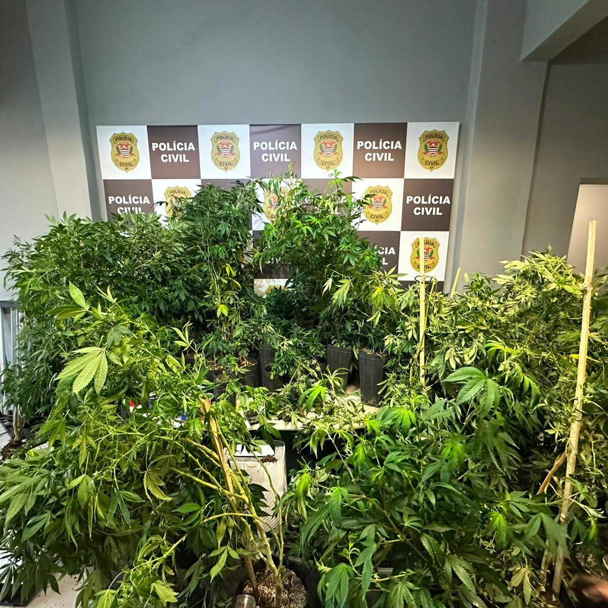 O homem foi preso em flagrante por tráfico de drogas