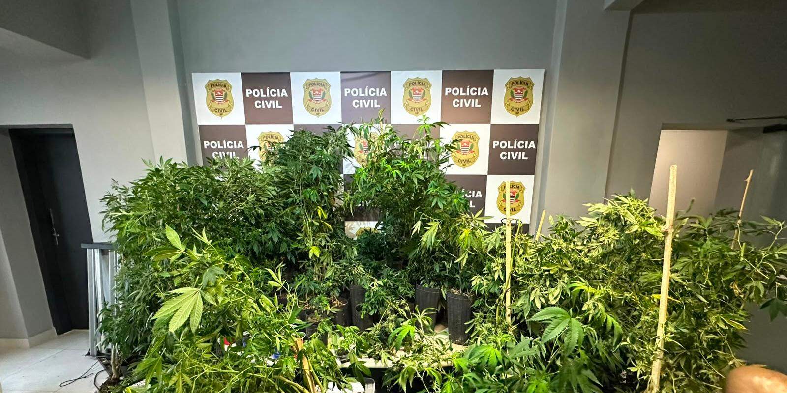 O homem foi preso em flagrante por tráfico de drogas