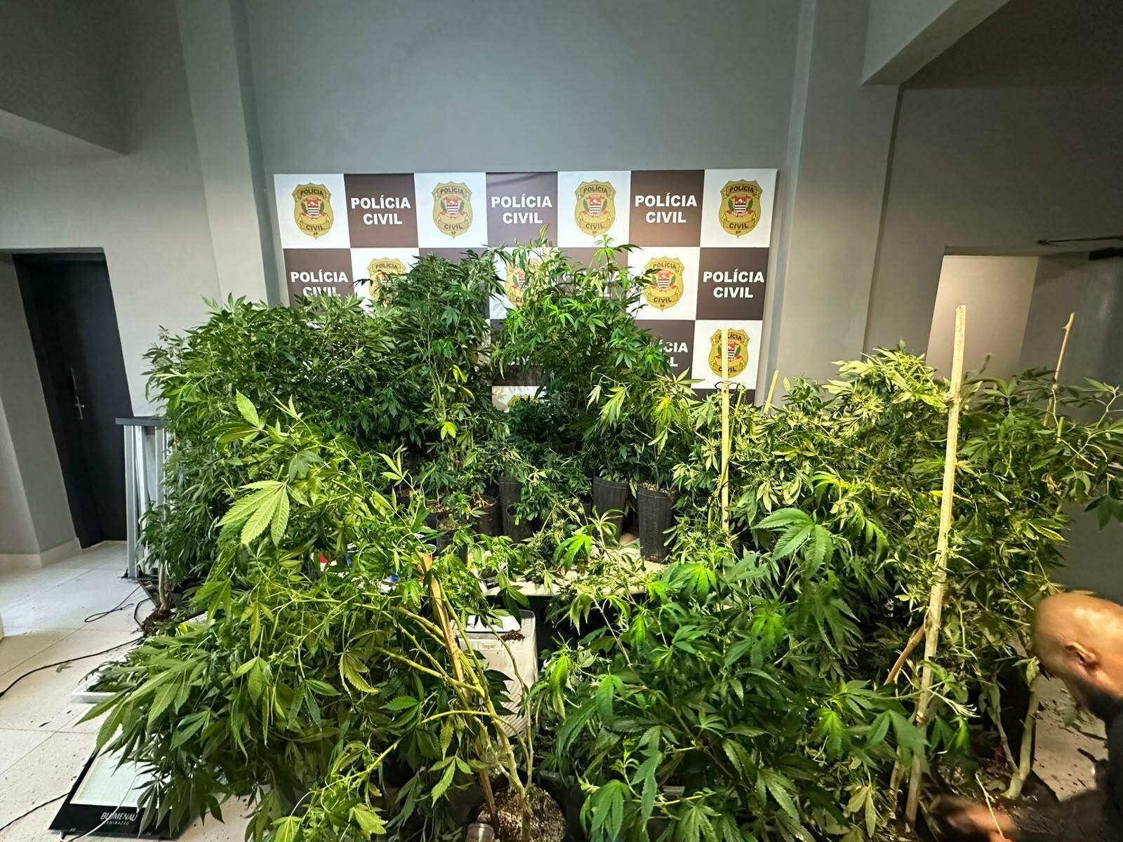 O homem foi preso em flagrante por tráfico de drogas