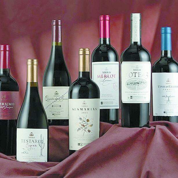 Safra de 2023 permitiu que sete rótulos expressassem a identidade de seus terroirs