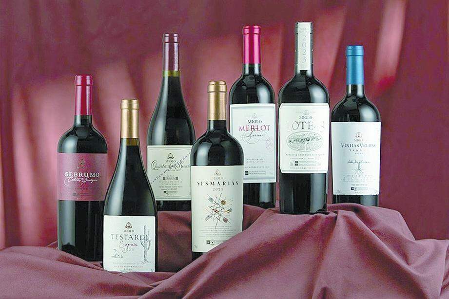 Safra de 2023 permitiu que sete rótulos expressassem a identidade de seus terroirs