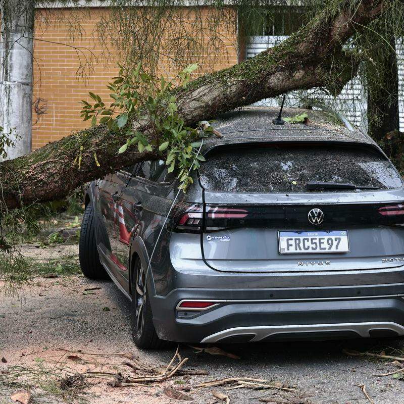 Uma árvore caiu sobre um carro na Rua Paraguaçu, no Boqueirão; ventos fortes foram reflexo de um ciclone-bomba que avançava pelo Brasil