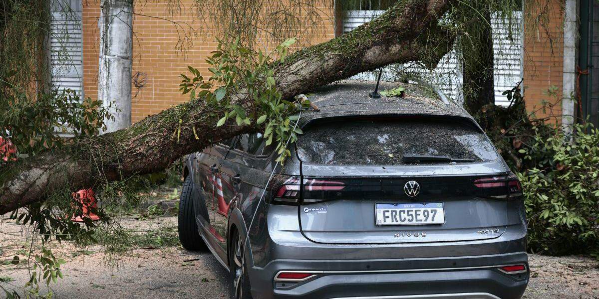 Uma árvore caiu sobre um carro na Rua Paraguaçu, no Boqueirão; ventos fortes foram reflexo de um ciclone-bomba que avançava pelo Brasil