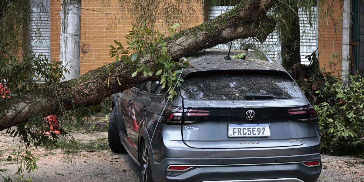 Uma árvore caiu sobre um carro na Rua Paraguaçu, no Boqueirão; ventos fortes foram reflexo de um ciclone-bomba que avançava pelo Brasil