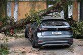 Uma árvore caiu sobre um carro na Rua Paraguaçu, no Boqueirão; ventos fortes foram reflexo de um ciclone-bomba que avançava pelo Brasil