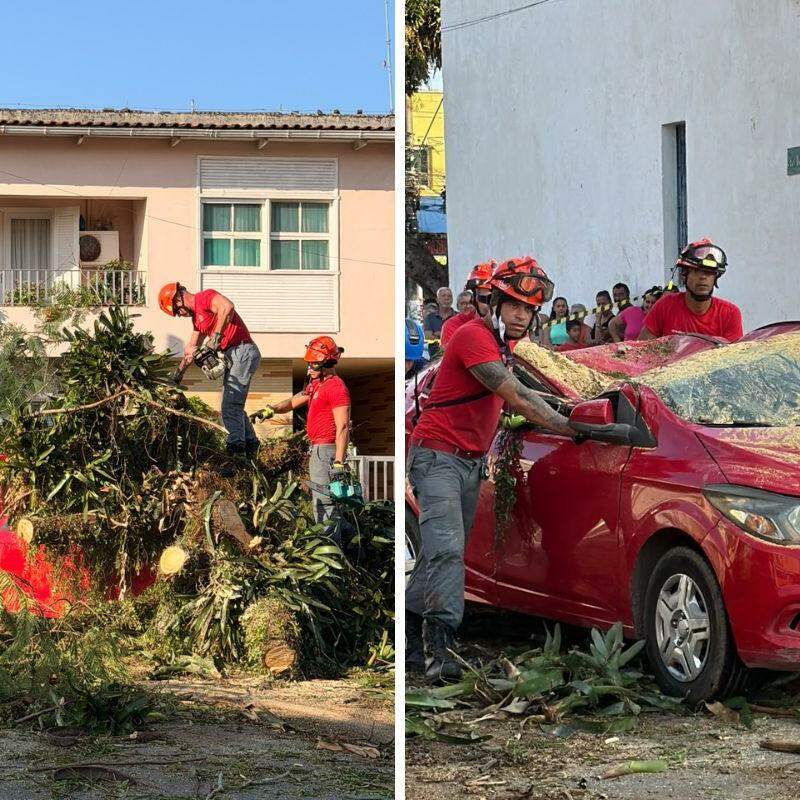 Incidente aconteceu próximo a Igreja Matriz, no Centro de Itanhaém; bombeiros ajudaram na remoção dos estragos