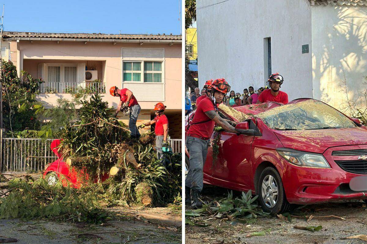 Incidente aconteceu próximo a Igreja Matriz, no Centro de Itanhaém; bombeiros ajudaram na remoção dos estragos