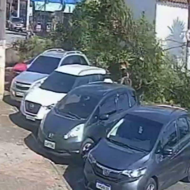 Árvore destruiu quase que totalmente o veículo vermelho, que estava sendo ocupado por um homem e seu filho no momento do incidente