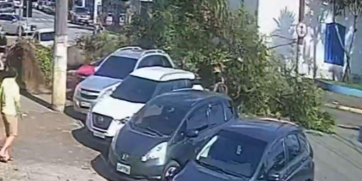 Árvore destruiu quase que totalmente o veículo vermelho, que estava sendo ocupado por um homem e seu filho no momento do incidente
