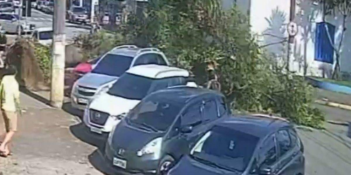 Árvore destruiu quase que totalmente o veículo vermelho, que estava sendo ocupado por um homem e seu filho no momento do incidente