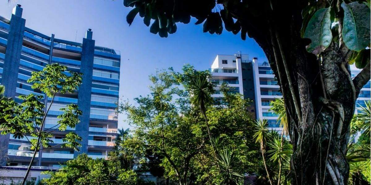 Chapéu de Sol é uma das espécies mais frequentes na região