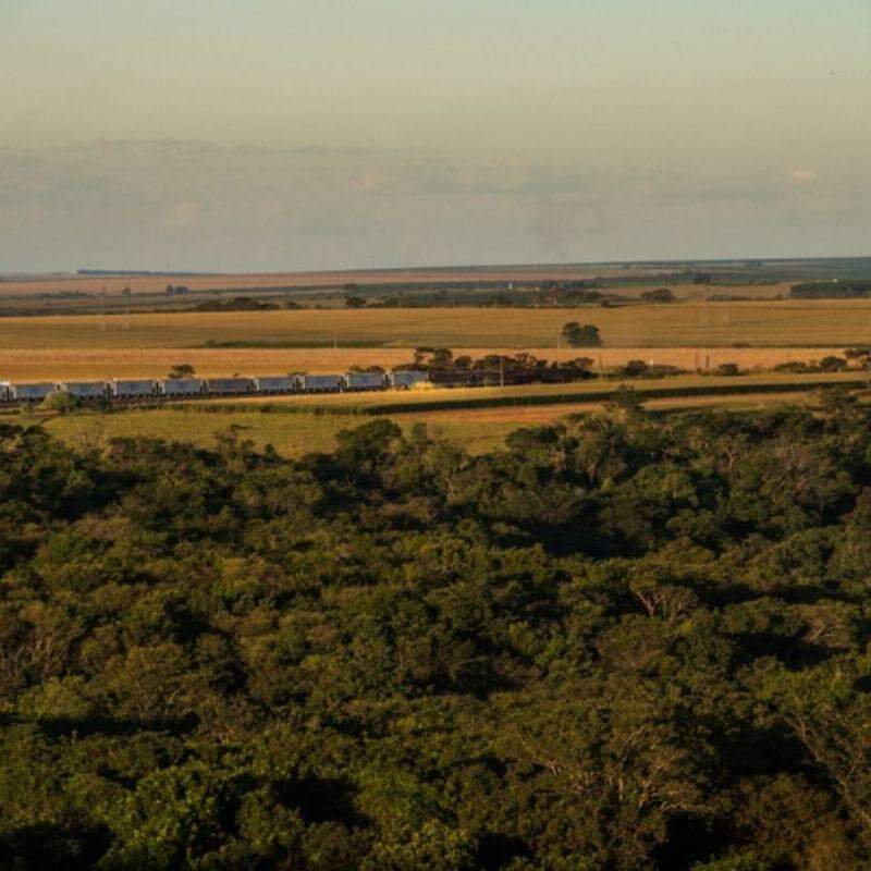 Ferrovia Centro-Atlântica possui aproximadamente 7.220 km de extensão e interliga vários estados