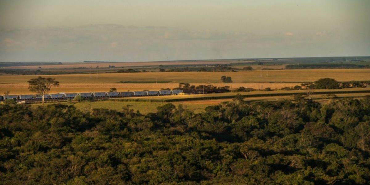 Ferrovia Centro-Atlântica possui aproximadamente 7.220 km de extensão e interliga vários estados