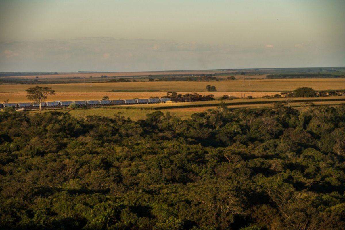 Ferrovia Centro-Atlântica possui aproximadamente 7.220 km de extensão e interliga vários estados