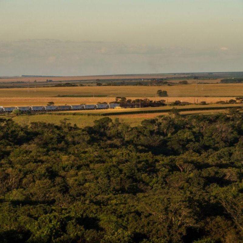 Ferrovia Centro-Atlântica is approximately 7,220 km long and connects several states