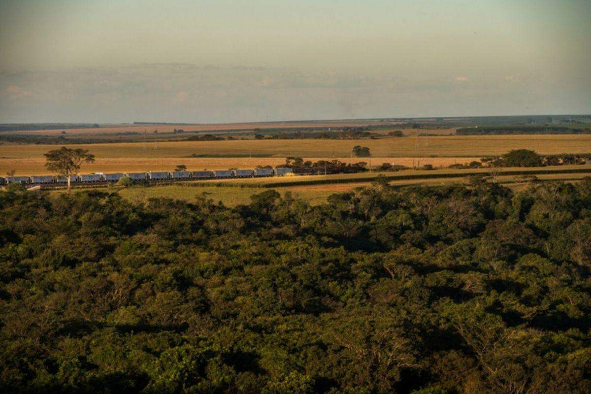 Ferrovia Centro-Atlântica is approximately 7,220 km long and connects several states