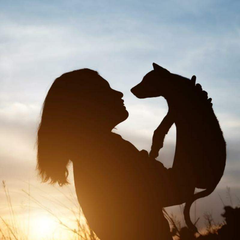 A nova lei passa a regulamentar a instalação, operação e fiscalização da cremação pets na cidade