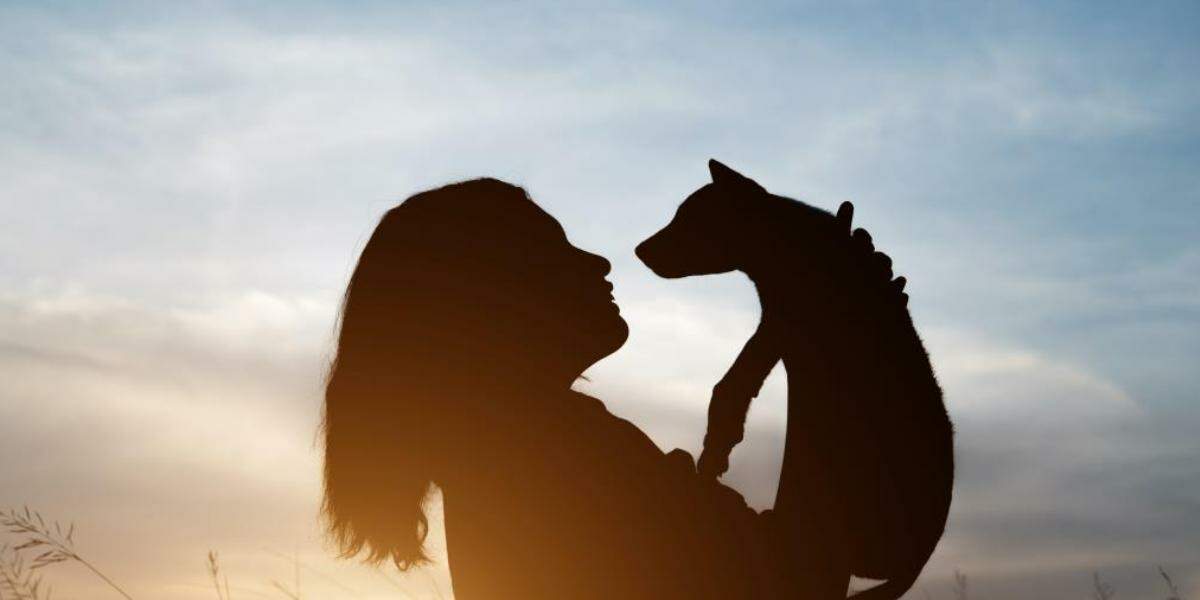 A nova lei passa a regulamentar a instalação, operação e fiscalização da cremação pets na cidade