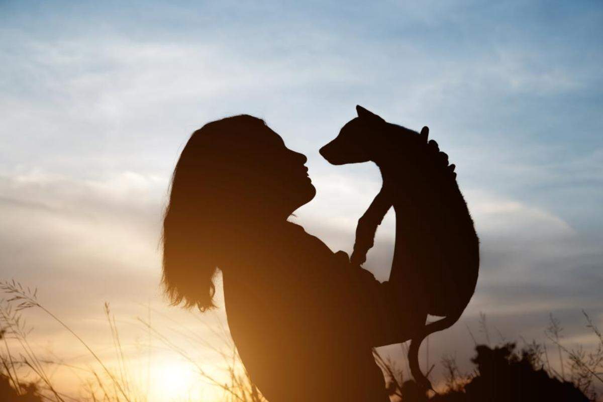 A nova lei passa a regulamentar a instalação, operação e fiscalização da cremação pets na cidade