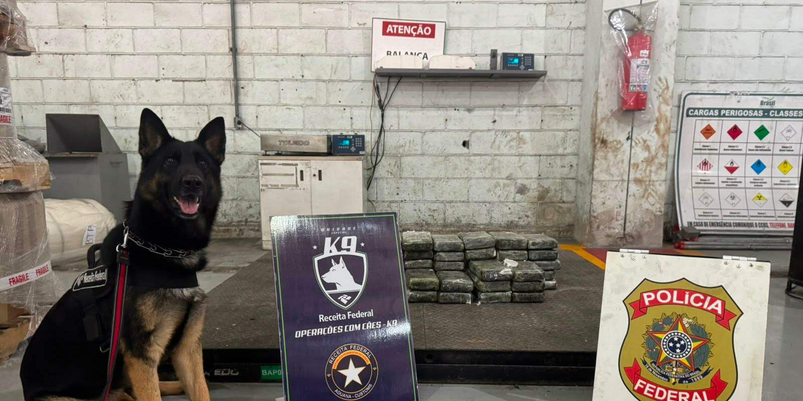 A perícia e a investigação serão conduzidas por meio de inquérito policial
