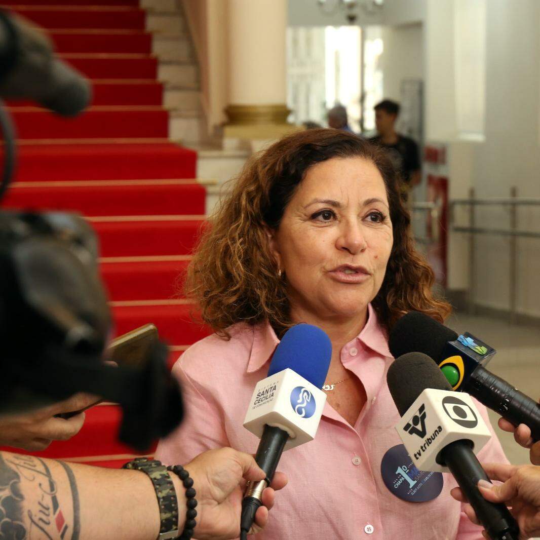 Rose Fassina é a presidente do Sindisan