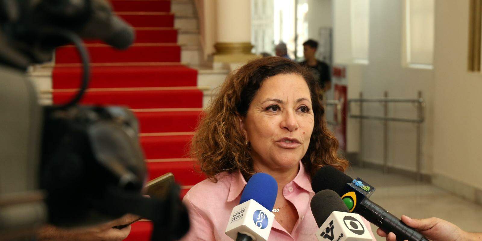 Rose Fassina é a presidente do Sindisan