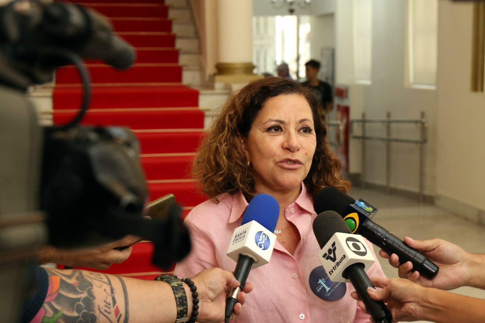 Rose Fassina é a presidente do Sindisan