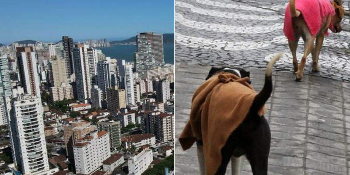 O STJ consolidou o entendimento de que convenções condominiais não podem impedir, de forma genérica, a permanência de cães, gatos ou outros animais nas unidades residenciais