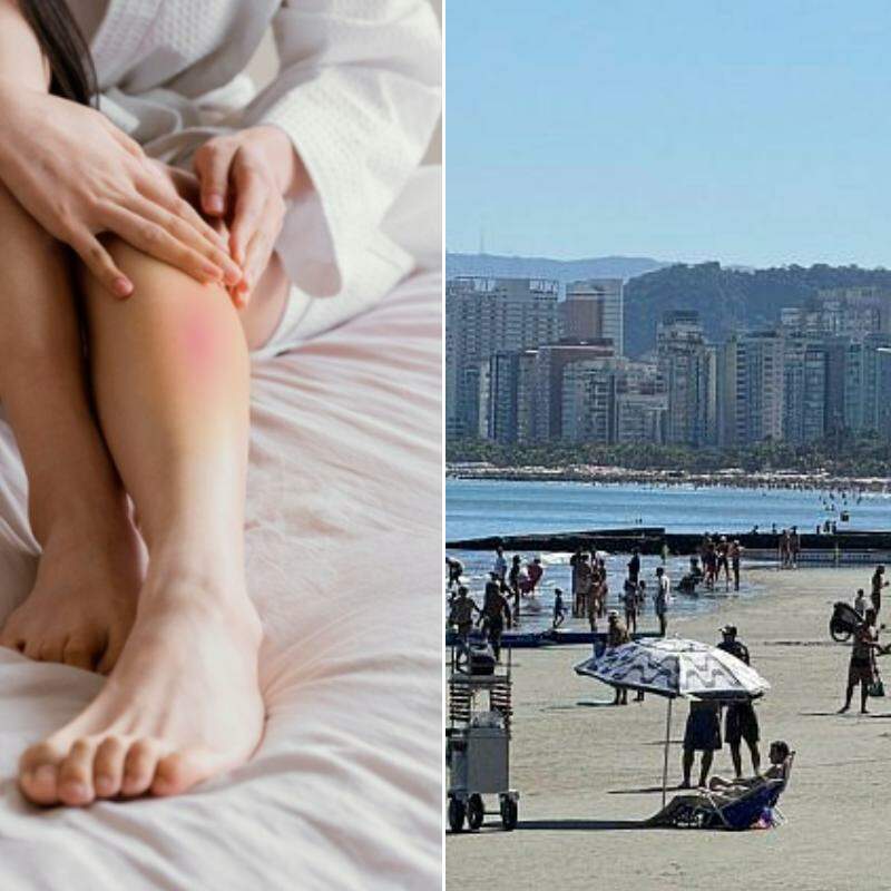 Temperaturas elevadas favorecem a perda de líquidos e a desidratação, impondo maior esforço ao sistema cardiovascular