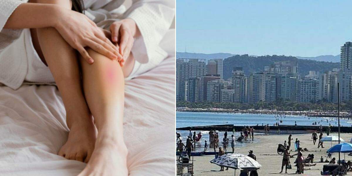 Temperaturas elevadas favorecem a perda de líquidos e a desidratação, impondo maior esforço ao sistema cardiovascular