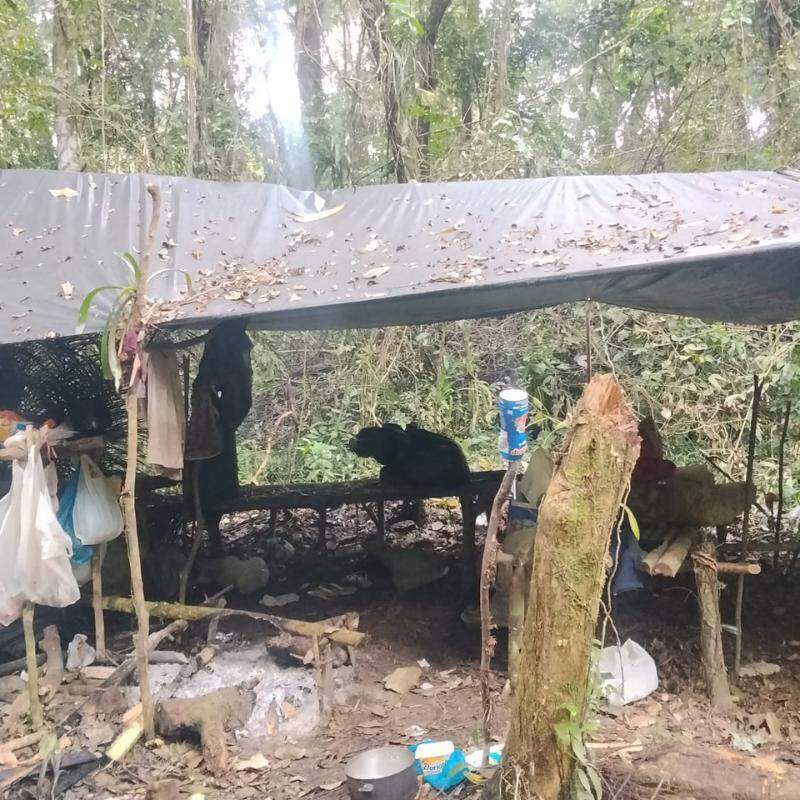 A ocorrência foi atendida pela Polícia Militar Ambiental