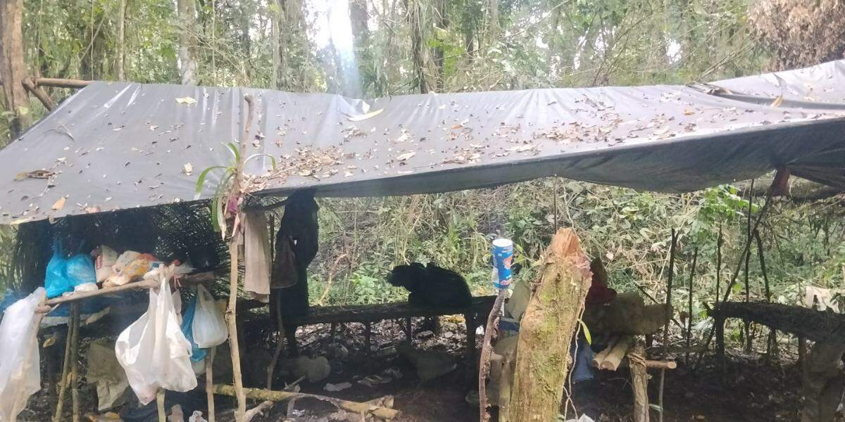 A ocorrência foi atendida pela Polícia Militar Ambiental