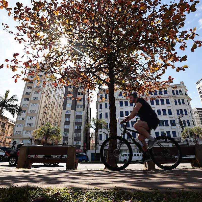 Quem deseja trabalhar e morar em Santos conta com mais de 400 vagas disponíveis em concursos promovidos pela Prefeitura