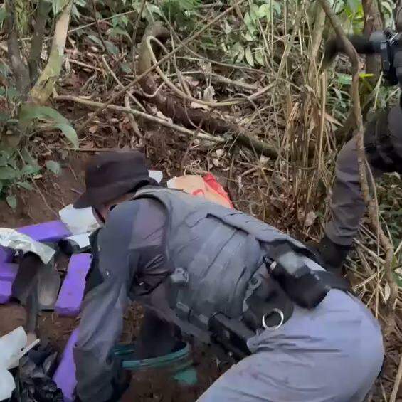 Drogas foram apreendidas pela Polícia Militar