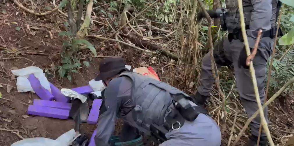 Drogas foram apreendidas pela Polícia Militar