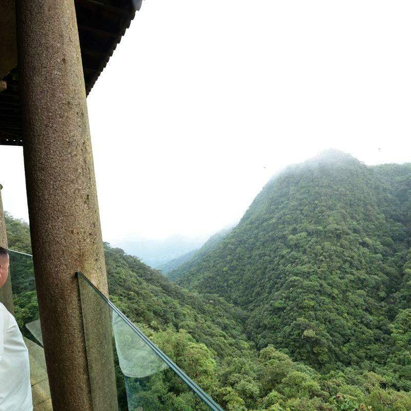 Arborização e adaptação às mudanças do clima farão parte dos debates, que vão desta quarta-feira a sábado