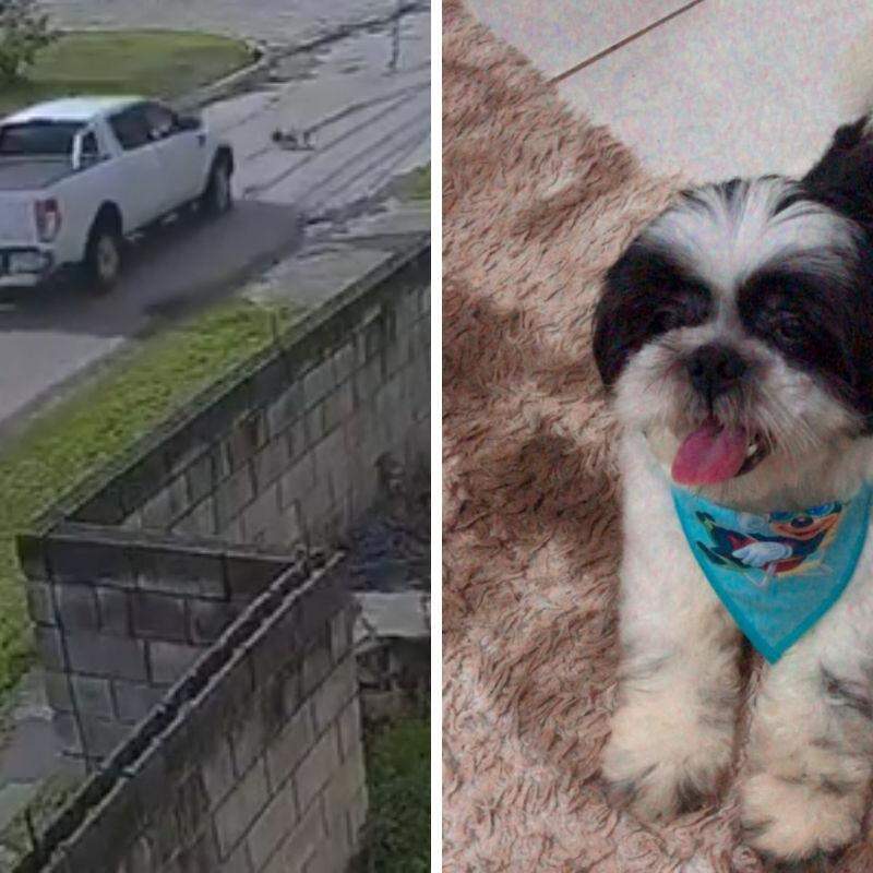 Alfredo morreu após ser atropelado e, cerca de uma hora depois, sofrer uma parada cardíaca