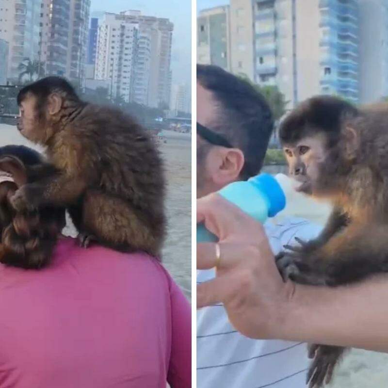 Vários pessoas interagiram com Theo na Praia da Caiçara em Praia Grande