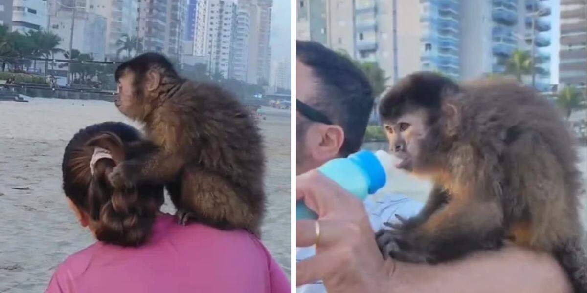 Vários pessoas interagiram com Theo na Praia da Caiçara em Praia Grande
