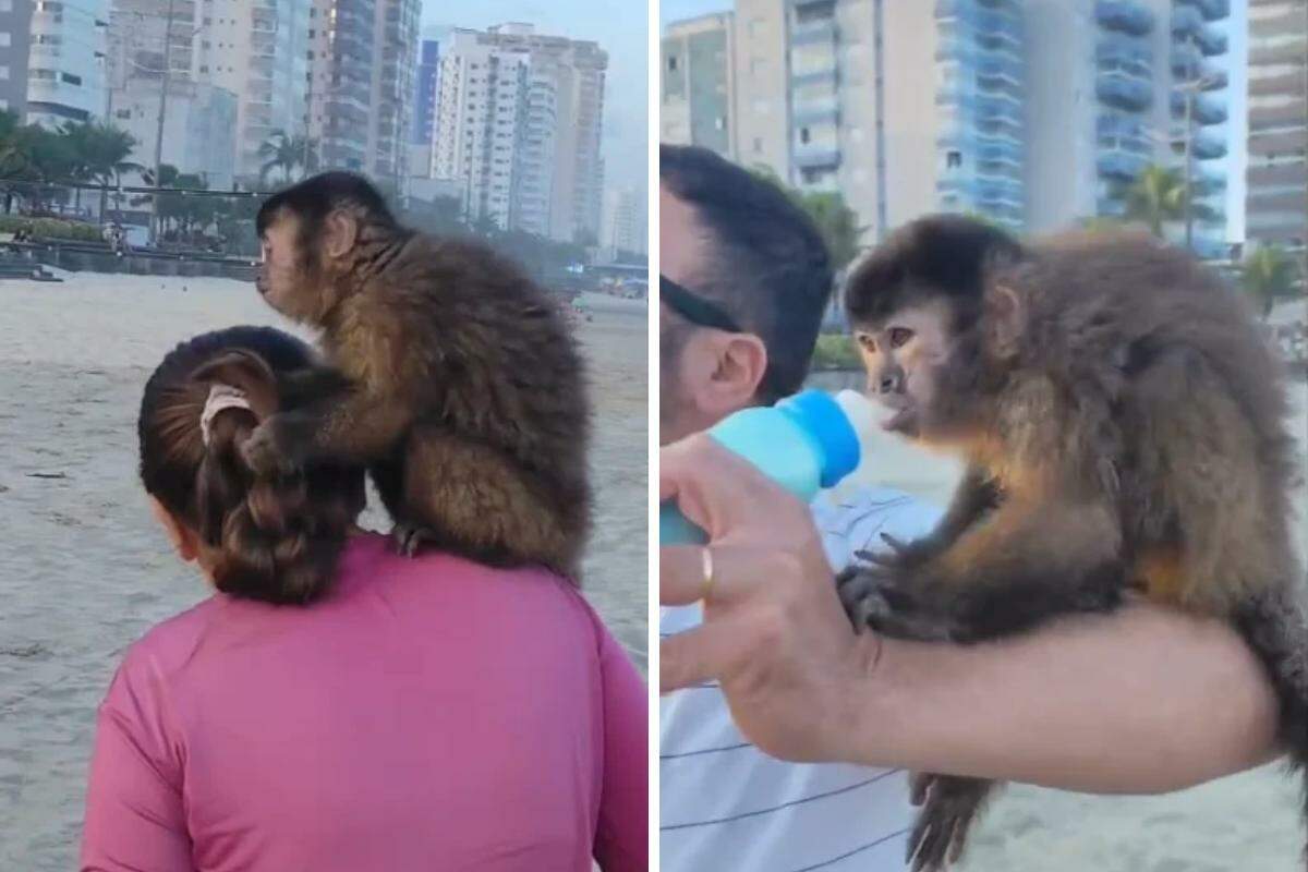Vários pessoas interagiram com Theo na Praia da Caiçara em Praia Grande